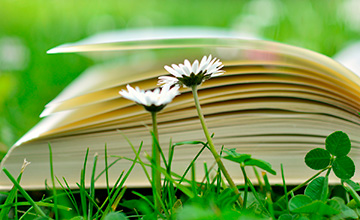 01.10.21
Экологическая отчетность